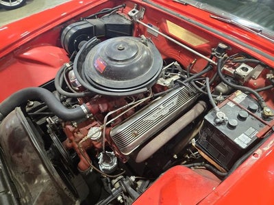 1955 Ford THUN NA
