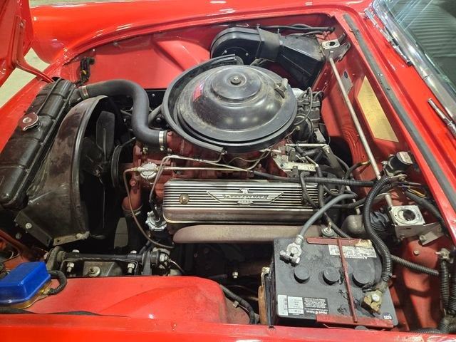 1955 Ford THUN NA