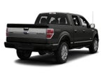 2013 Ford F-150 Platinum