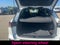 2025 Volkswagen Tiguan 2.0T SEL R-Line